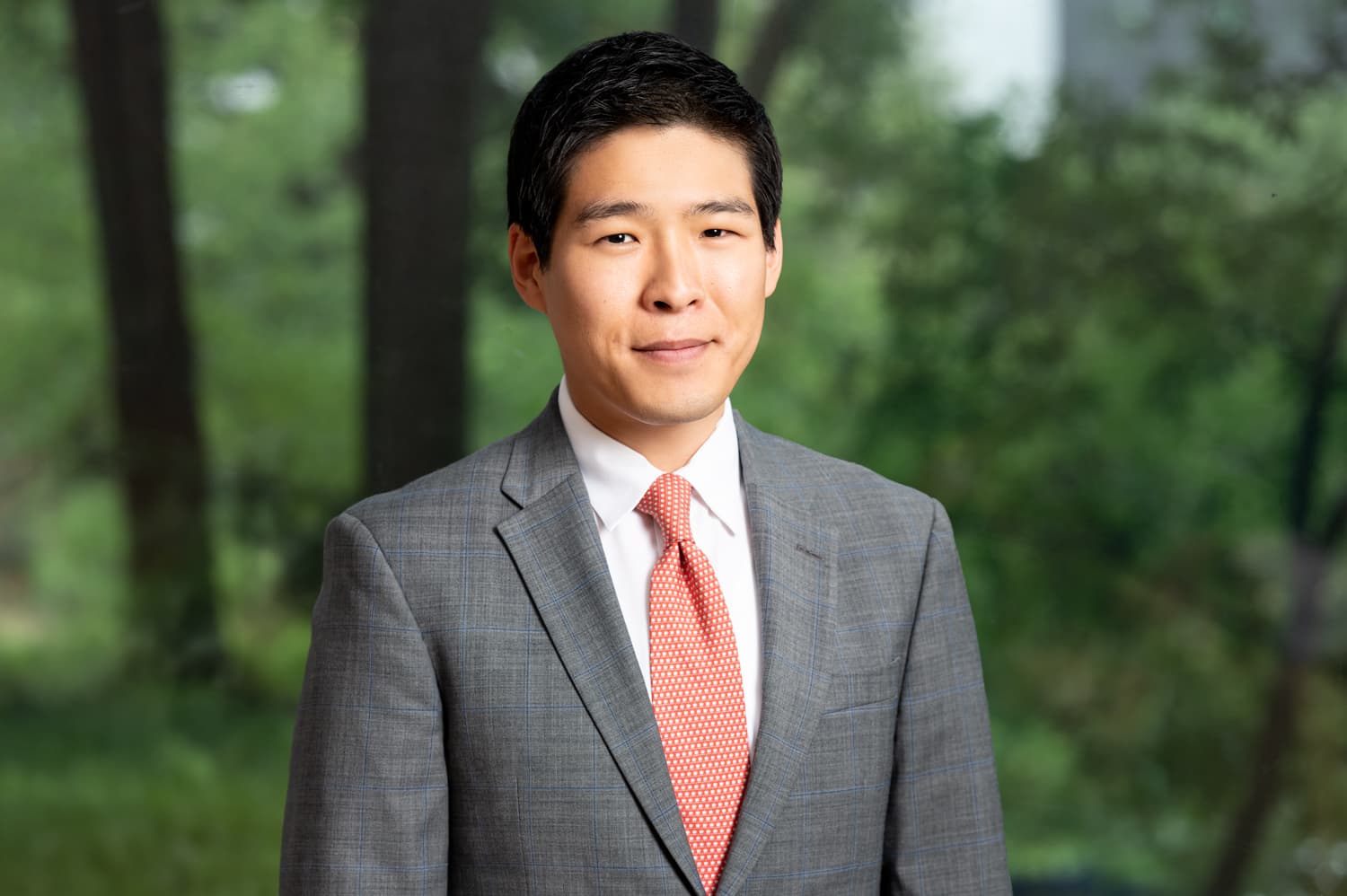 Ellis Liu